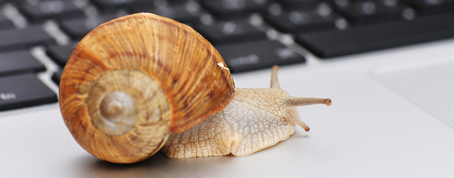 Slow connection as a snail